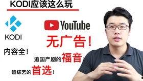 tube国产