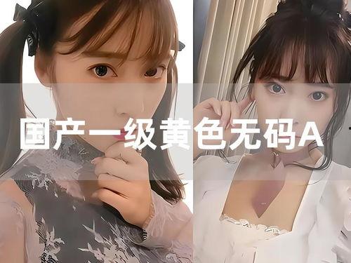国产有码在线播放